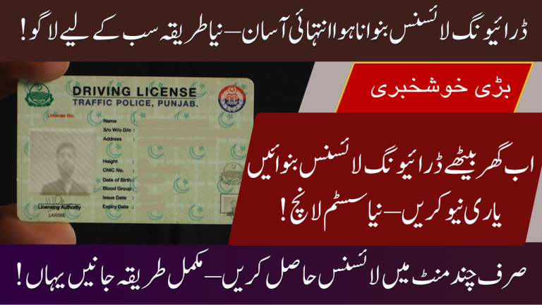 Punjab Driving License: Application Process, Renew, and Manage Guide