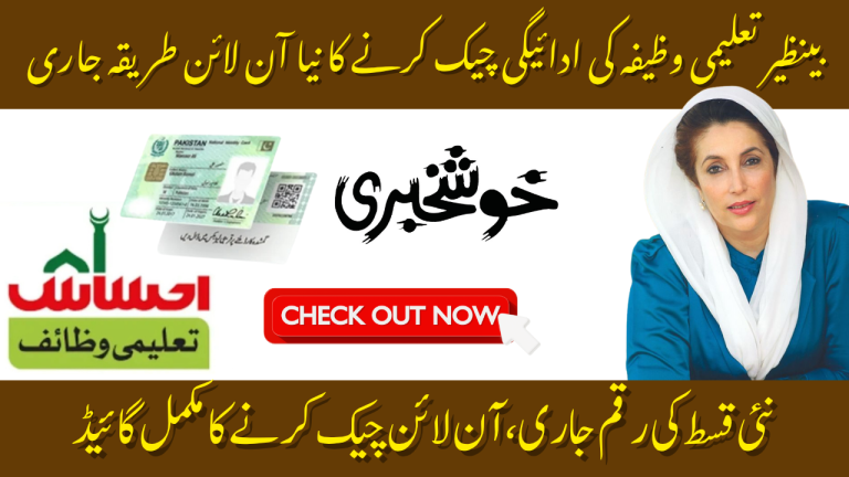 Benazir Taleemi Wazaif Payment Check Online – Complete Guide