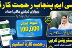 Quick Fixes for BISP Missing Payment in 2026