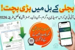 PITC Cross Subsidy Program: Everything You Need to Know in 2026