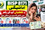 BISP 8171 Payment